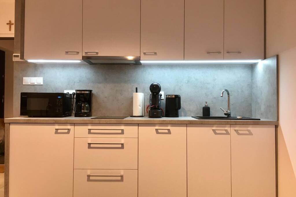 Apartament Fibra Brownie Rybnik  Exteriör bild